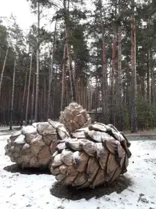 Дружба - 16