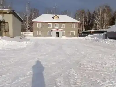 Мустанг - 20