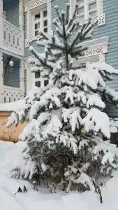 На Вотчине - 8