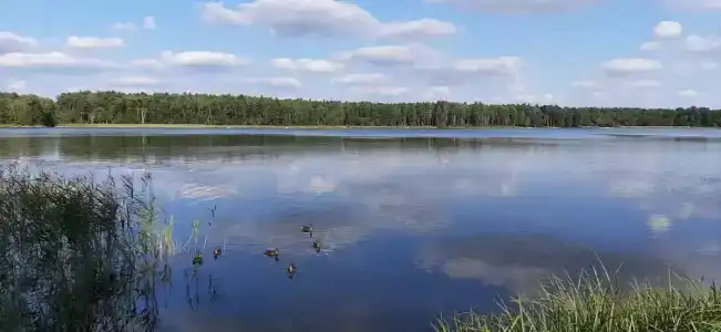 Белое озеро - 24