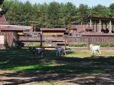 Русский берег - 21