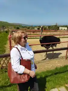 Страусиная ферма Экзотик - 84