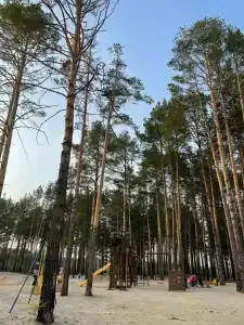 Ясная поляна - 18