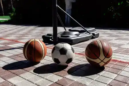 Сосны - 45