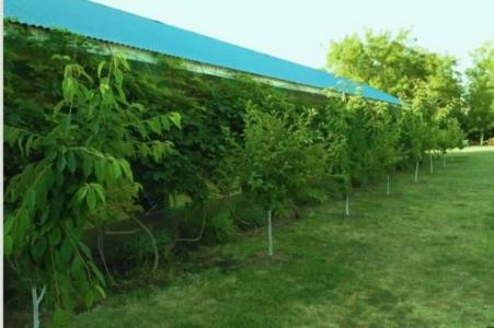 АзовХолидей - 95