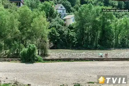 Эдельвейс - 22