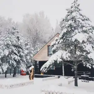 ХвояХутор - Казачий Курень - 47