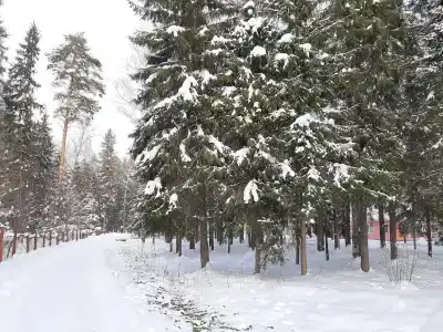 Искра - 59