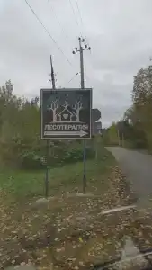 Лесотерапия - 15