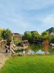 Морской Компас - 6