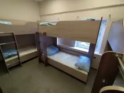 Дыня - 14