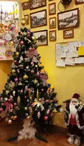 Тихая Гавань - 42