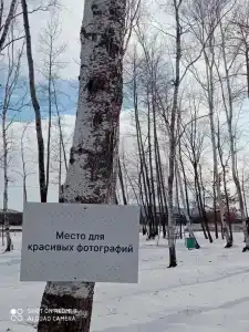 Шарголь - 49