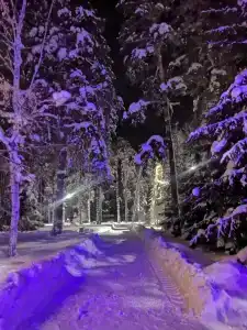 Сосновка - 1