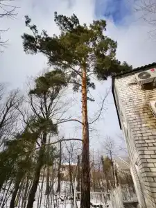 Ахтуба Вилладж - 38