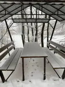 Ласточка - 85