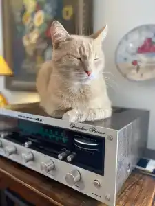 Гостевой дом Суриковых - 34