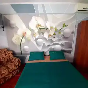 Елена - 8