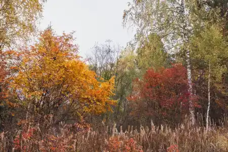 Красивое место - 41