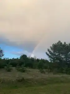 Уникальный творческий дом в Волоховщине - 23