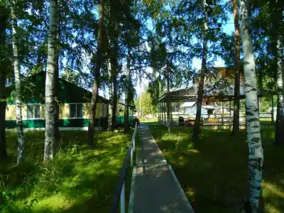 Медвежий угол - 13