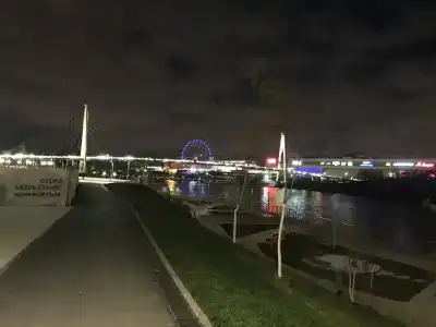 Крокус Стар - 10