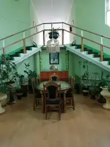 Лесная жемчужина - 37