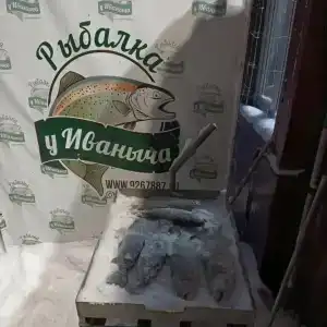 Рыбалка у Иваныча - 46
