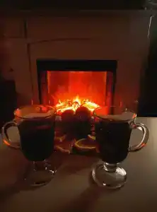 Дом на берегу Ладоги Tervunjoki - 15