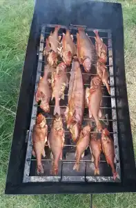 Заманиха - 29