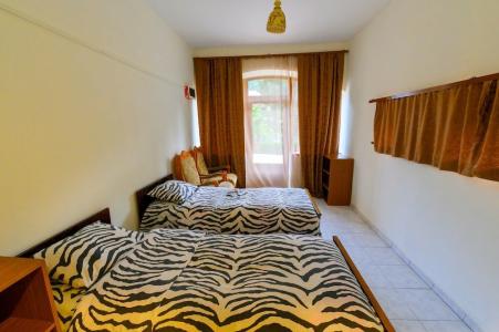 Palma Guest House - 15