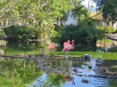 Iberostar Selection Hacienda Dominicus - 3