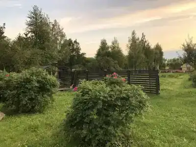 Прованс - 40