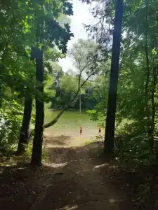 Дача на Истре - 12