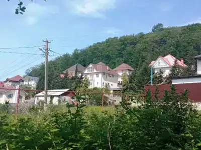 Лесной уголок - 1