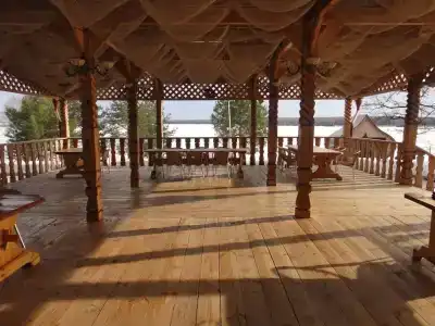 Снегири - 10