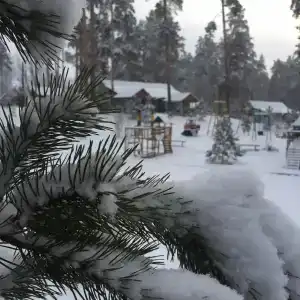 Никоново - 47