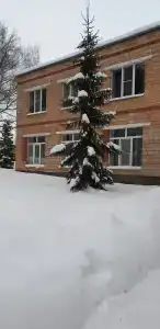 Хатунь - Звездочка - 34