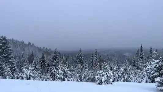 Ключ - 7