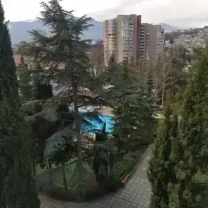 Магнолия - 18