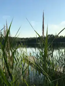 Коттедж Матриярви - 24