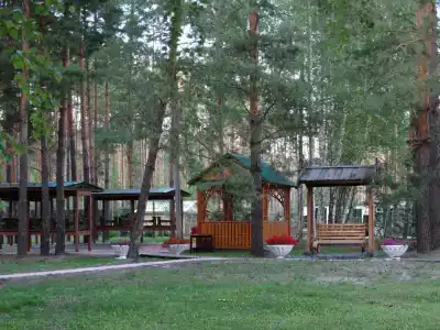 Питомник - 8