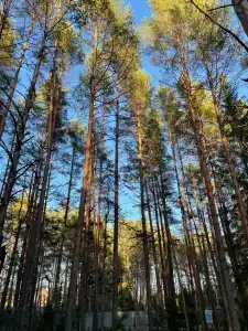Seliger Wind - 91