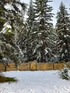 Лесной Дворик - 49