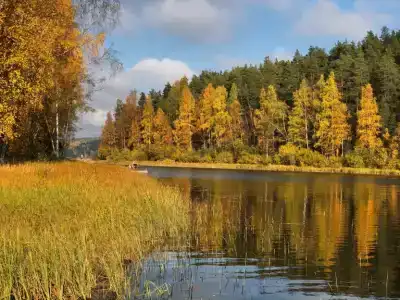 Салокюля - 32