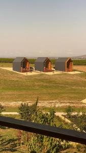 Фридом Веселовка - 89