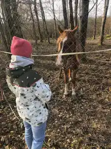 Храброво - 38