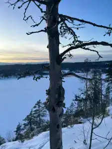 Карелия Парк - 52