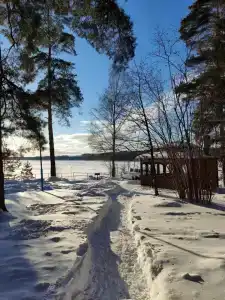 Лопотово - 50