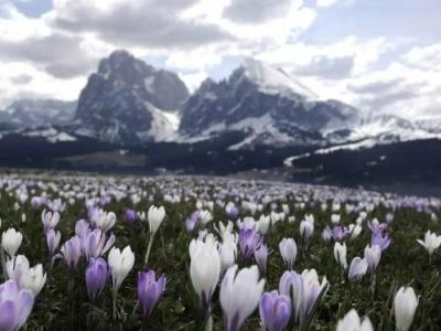 Sensoria Dolomites - 8